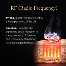 Empire Tech – 3D Radiance Magic F